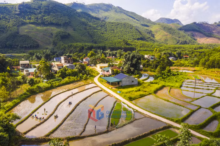 Xắc mầu của các thửa ruộng