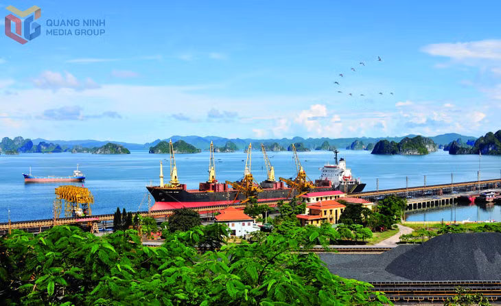 Cảng Cửa Ông, Công ty Tuyển than Cửa Ông - TKV.