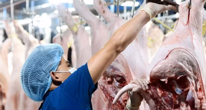 Cơ sở giết mổ gia súc tập trung tại TP Long Khánh, Đồng Nai chuẩn bị đơn hàng cho khách - Ảnh: A LỘC