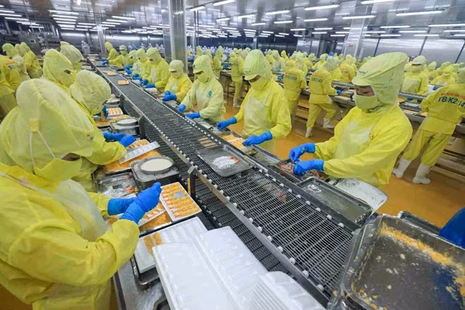 Lĩnh vực xuất khẩu của Việt Nam đang phát triển mạnh mẽ. Ảnh: Hải Nguyễn