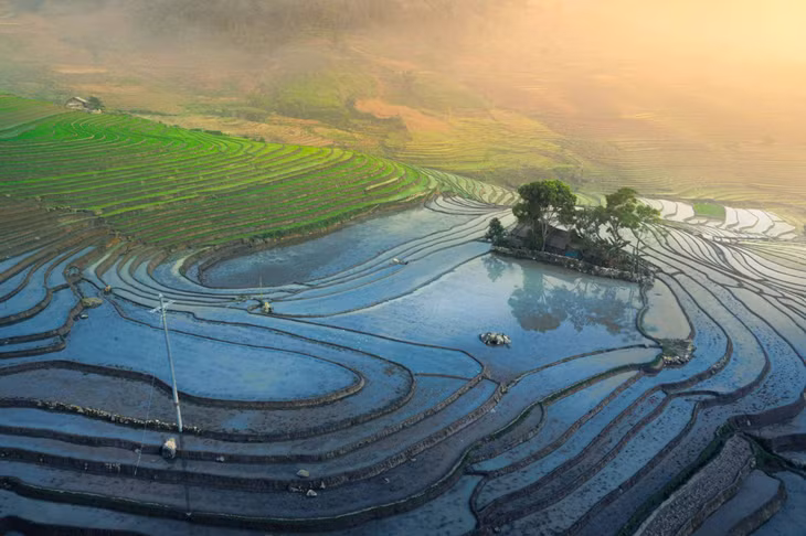Để có những thửa ruộng này, người Mông ở Sàng Ma Sáo đã chọn những vùng đất có độ dốc vừa phải, thuận lợi để đón nước mưa, nước suối. Ảnh: Trần Tiến Dũng