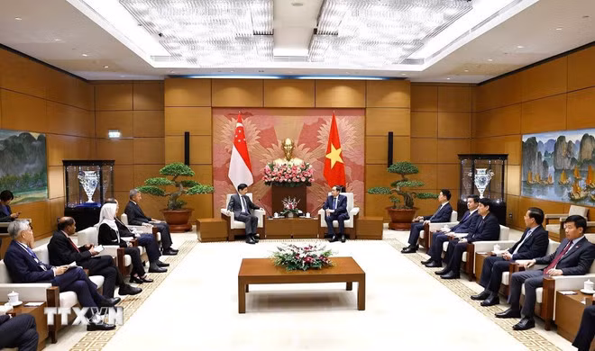 Chủ tịch Quốc hội Trần Thanh Mẫn hội kiến Thủ tướng Singapore Lawrence Wong. (Ảnh: Doãn Tấn/TTXVN Chủ)