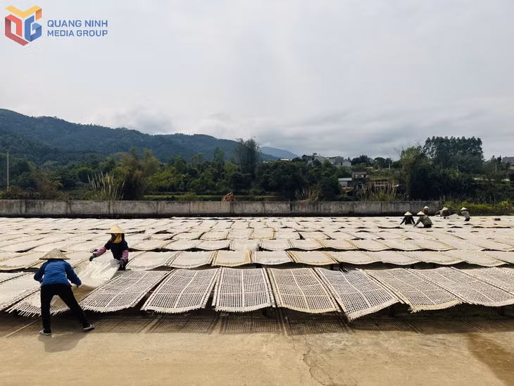 Người dân huyện Bình Liêu phơi miến.