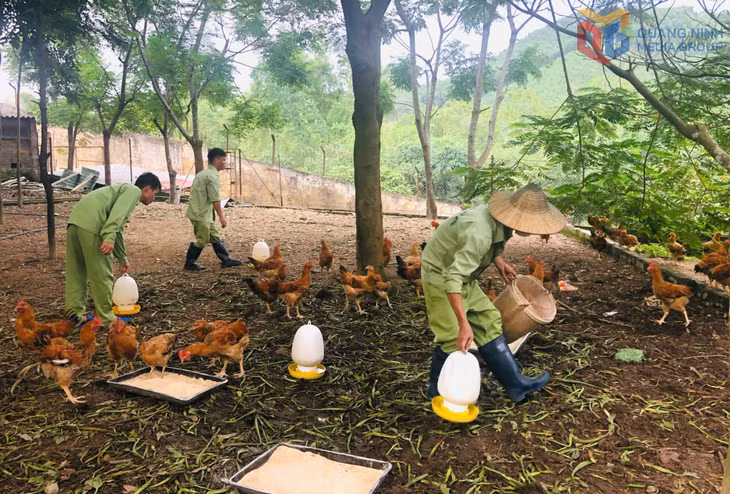 Các học viên Cơ sở Cai nghiện ma túy tỉnh tham gia lao động, tăng gia sản xuất.