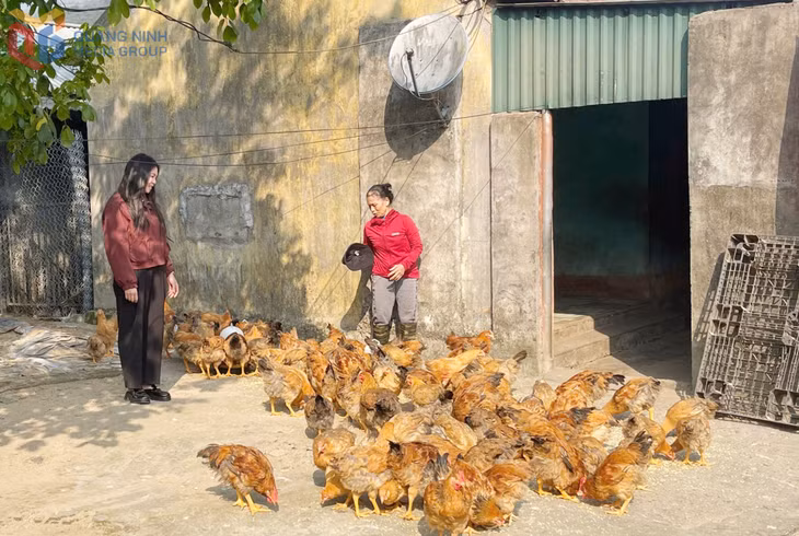 Đại diện Hội LHPN xã Quảng Đức thăm mô hình chăn nuôi gà của gia đình chị Phạm Thị Dự (ở bản Ván Tốc, xã Quảng Đức, huyện Hải Hà).