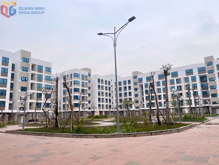 Dự án khu nhà ở xã hội phục vụ công nhân, người lao động của các doanh nghiệp trong KCN Đông Mai, TX Quảng Yên gần hoàn thiện và đưa vào hoạt động.