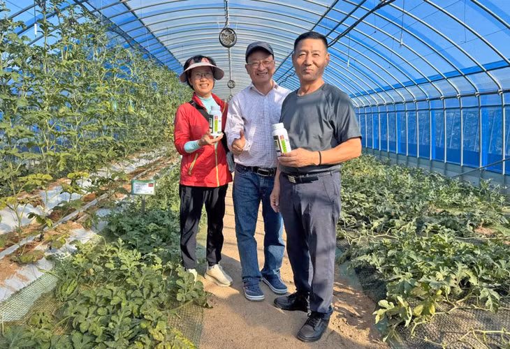 Anh Hồ Phúc Nguyên (giữa) và chế phẩm Bacte dùng diệt sâu cho dưa lưới, dưa hấu tại Jeonju- si, Jeon-Ju, Hàn Quốc.