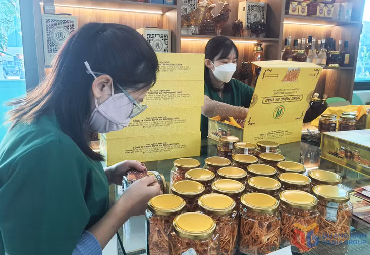Sản phẩm nấm đông trùng hạ thảo của cơ sở sản xuất Phương Thuỳ (phường Bắc Sơn, TP Uông Bí) được sản xuất dựa váo công nghệ nông nghiệp trong nhà lạnh, cho phép đạt sản lượng sản phẩm lón trên diện tích canh tác nhỏ, đồng thời nâng cao chất lượng sản phẩm.