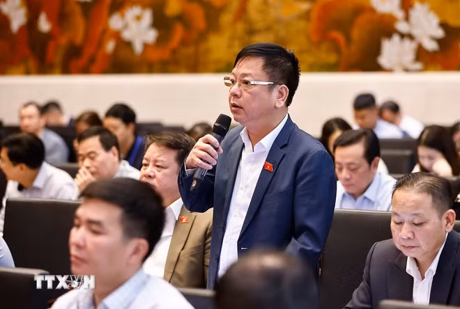 Đại biểu Quốc hội tỉnh Đắk Nông Nguyễn Trường Giang phát biểu ý kiến. (Ảnh: Doãn Tấn/TTXVN)