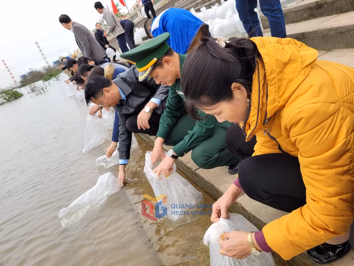 Các đồng chí lãnh đạo thị xã cùng đại biểu tiến hành thả cá giống về môi trường tự nhiên