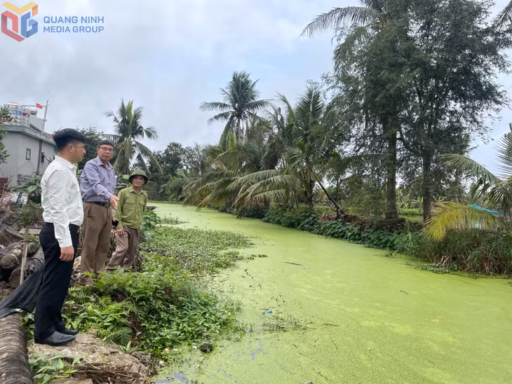 Tình trạng ô nhiễm môi trường ở khu 1, khu 2, phường Yên Hải.