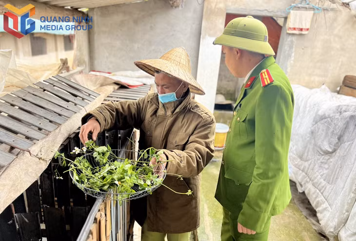 Học viên Cơ sở cai nghiện tỉnh chăm sóc đàn thỏ, một trong những hoạt động lao động trị liệu có hiệu quả.