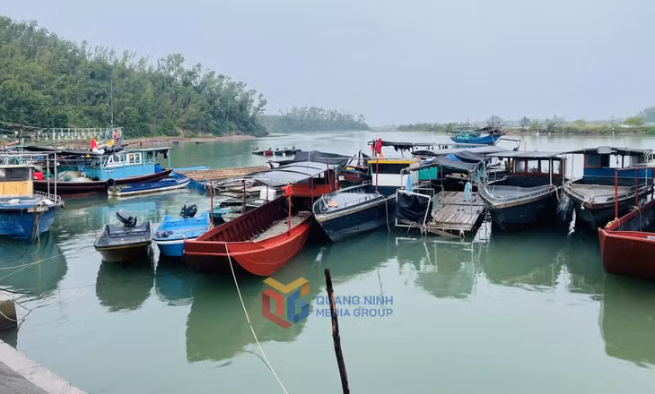 Tàu dưới 6m do cấp xã quản lý tại xã Tân Lập (Đầm Hà).
