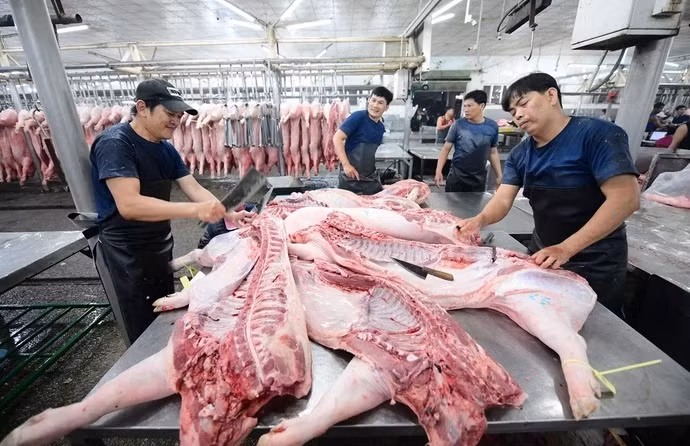 Thịt heo tại chợ đầu mối Hóc Môn (TP.HCM) - Ảnh: Q.ĐỊNH
