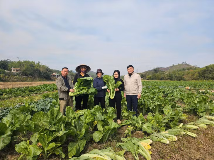 Lãnh đạo HND huyện Tiên Yên trao đổi với hội viên, nông dân xã Điền Xá về mô hình trồng rau cải hữu cơ. Ảnh: HND Tiên Yên.
