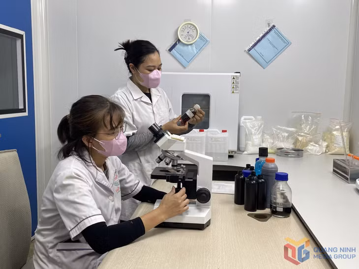 Nghiên cứu sản xuất dược liệu tại Công ty TNHH Nuôi trồng, sản xuất và chế biến dược liệu Đông Bắc.