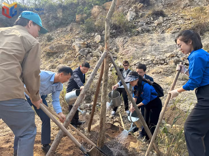 Đồng chí Nghiêm Xuân Cường, Phó Chủ tịch UBND tỉnh cùng lãnh đạo, đoàn viên, thanh niên các đơn vị trồng cây tại khu vực taluy chùa Suối Tắm.