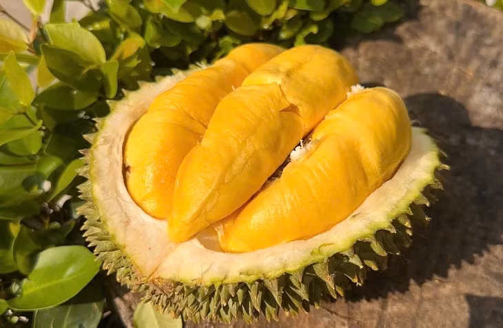 Sầu riêng Musang King tăng giá mạnh. Ảnh: Dũng Lê.