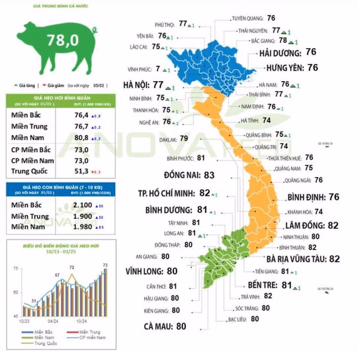 Cập nhật giá lợn toàn quốc ngày 6.3.2025. Nguồn: Anova Feed