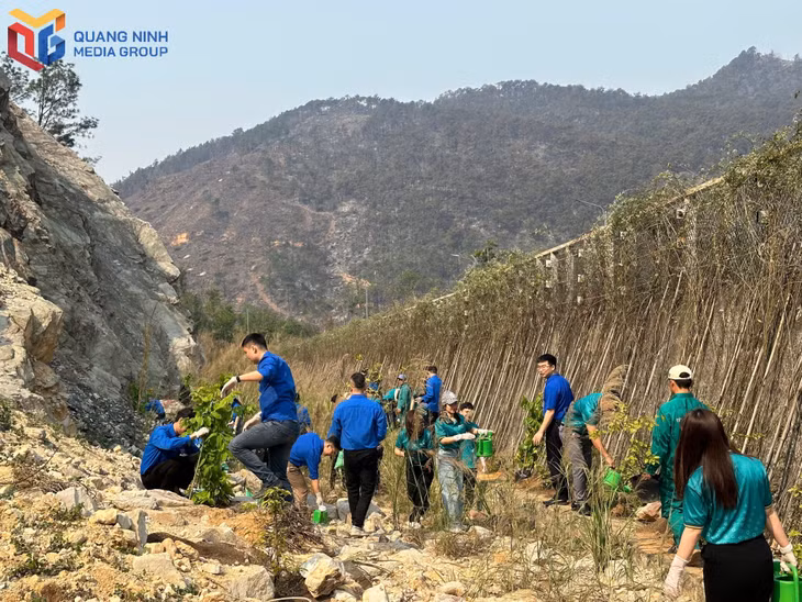 Đông đảo đoàn viên, thanh niên các đơn vị tham gia trồng cây.