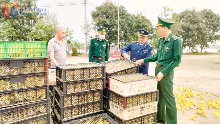 Đối tượng Trần Văn Kỳ và số gia cầm giống, trứng vịt lộn.