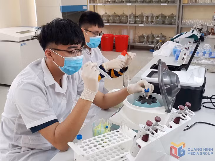 Hoạt động nghiên cứu khoa học của sinh viên Trường Đại học Hạ Long.