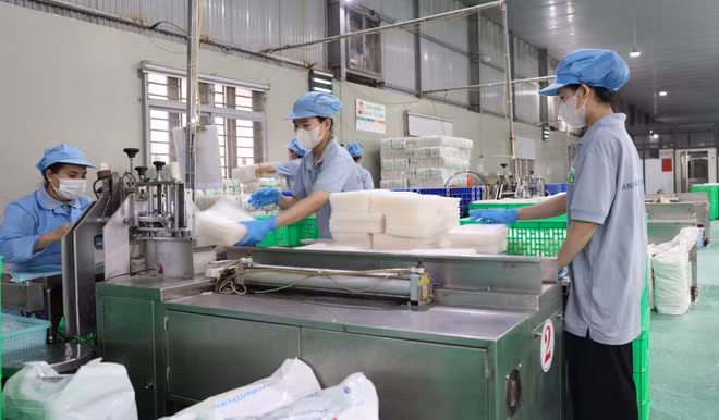 Hoạt động tại một doanh nghiệp ở Tây Ninh. (Ảnh: Thanh Tân/TTXVN)