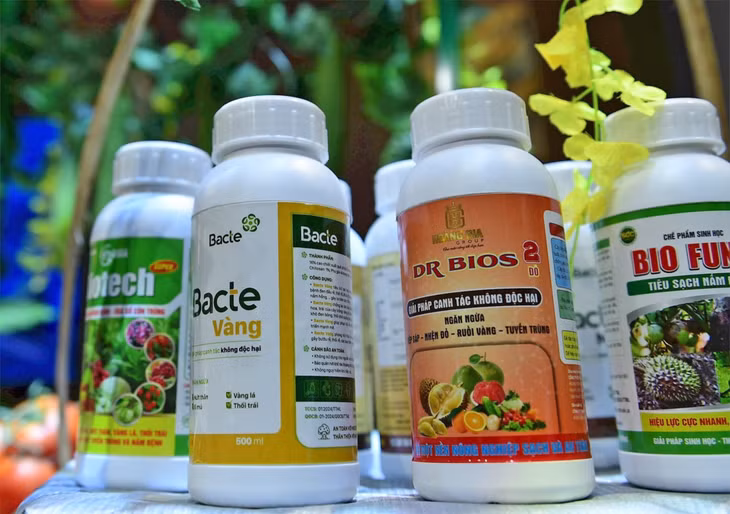 Ngoài phân phối trong nước, chế phẩm Bacte còn xuất khẩu sang một số quốc gia như Indonesia, Hàn Quốc và Úc.