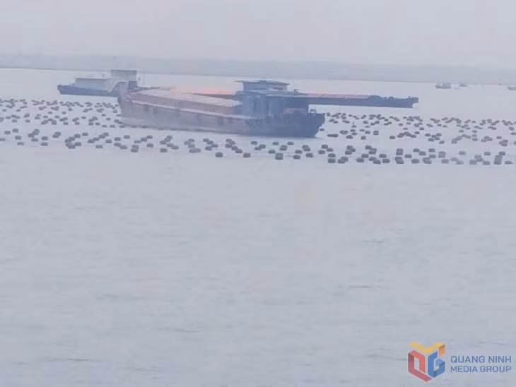 Nuôi trồng thuỷ sản 