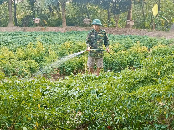 Cán bộ, chiến sĩ Ban CHQS TP Uông Bí chăm sóc vườn rau xanh tại Khu TGSX.