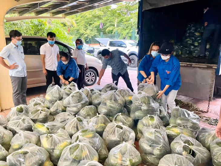 Đoàn Thanh niên Khối các cơ quan tỉnh chung tay hỗ trợ tiêu thụ dưa hấu cho nông dân tỉnh Bắc Giang.