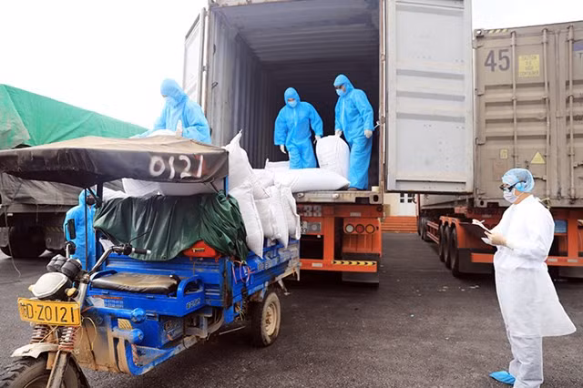 Các lực lượng làm nhiệm vụ tại Cửa khẩu Hoành Mô (huyện Bình Liêu) được trang bị bảo hộ đảm bảo phòng, chống dịch Covid-19, triển khai hoạt động xuất nhập khẩu đảm bảo an toàn, thuận tiện.