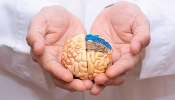 Alzheimer làm tăng nguy cơ mắc COVID-19 nghiêm trọng và tử vong ảnh 1