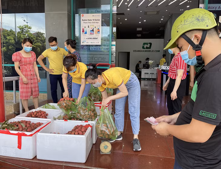 Nhiều người dân đến mua vải thiều Bắc Giang.