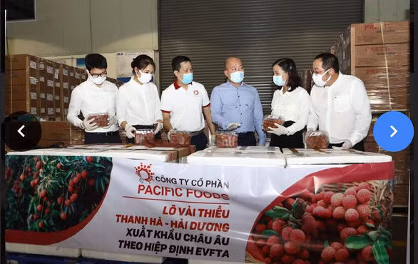 Lô vải thiều xuất khẩu sang EU tận dụng ưu đãi từ Hiệp định EVFTA - Ảnh: Bộ Công thương.