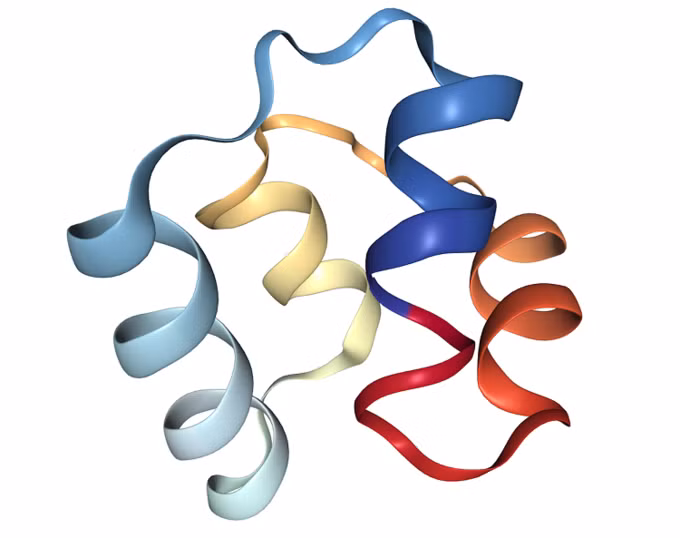 Cấu trúc protein của hợp chất này bền, khó bị phá vỡ. Ảnh: Nhóm nghiên cứu.
