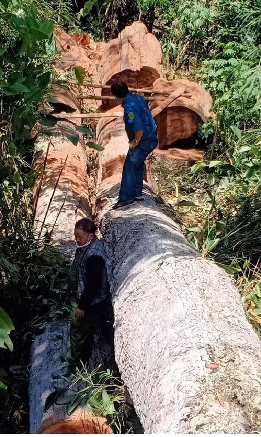 Hiện trường vụ việc.