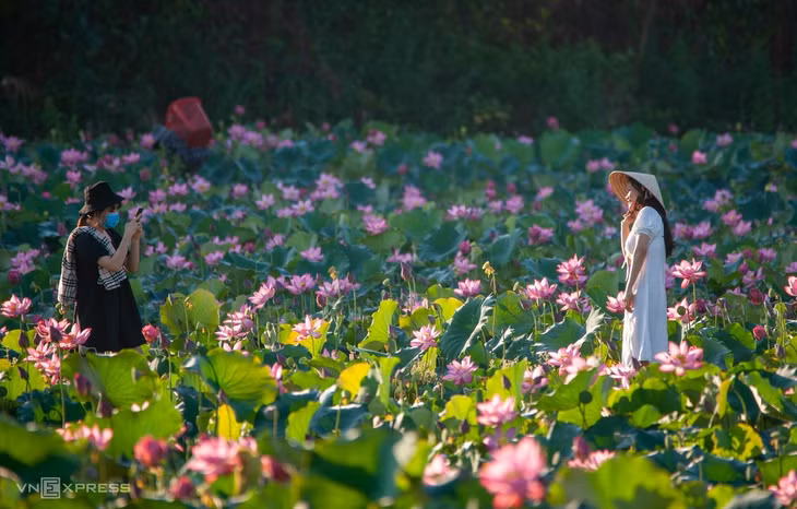 Hai bạn gái vui tươi chụp ảnh kỷ niệm trên đầm sen Trà Lý - Đồng Lớn. Du khách đến đầm có thể chụp ảnh, ngoài ra có thể mua hoa và đài sen mang về tùy theo nhu cầu.