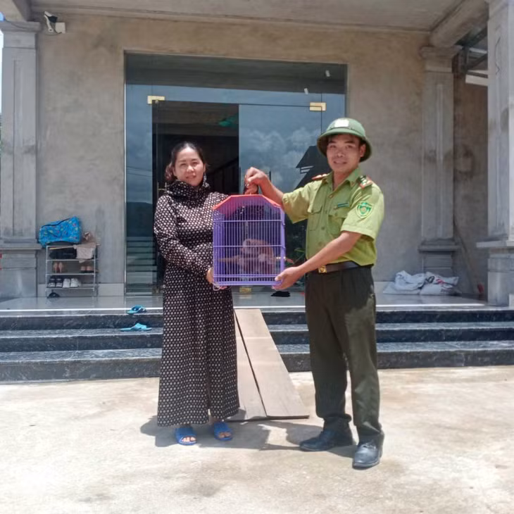 Bà Nông Thị Xuyến tự nguyện bàn giao con cu li cho lực lượng Kiểm lâm địa bàn.
