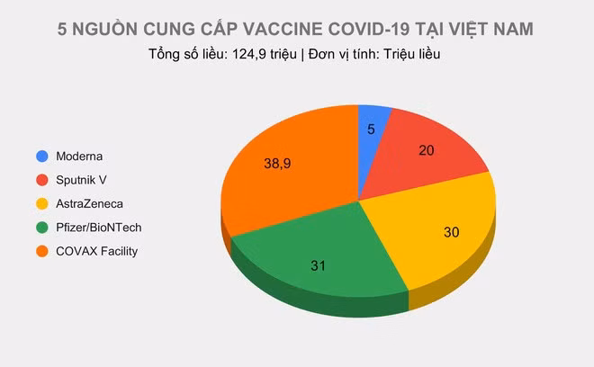 Việt Nam phê duyệt khẩn cấp vaccine Moderna ảnh 1