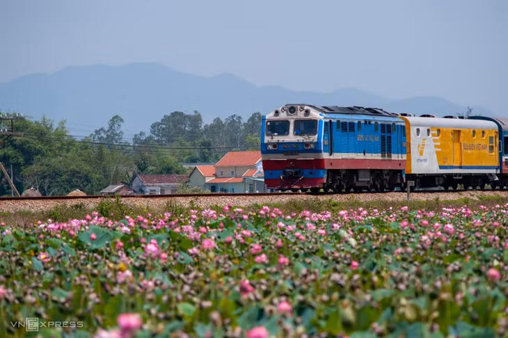 Ở Quảng Nam, không khó để tìm được một đầm sen thơ mộng, như đầm sen tại xã Bình Quý, huyện Thăng Bình. Đầm này cũng đang ở độ nở đẹp nhất, thi thoảng du khách còn thấy cảnh tàu hỏa chạy qua thật sinh động.