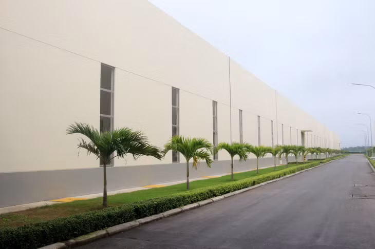 Hệ thống cây xanh được trồng trong KCN Cảng biển Hải Hà. 