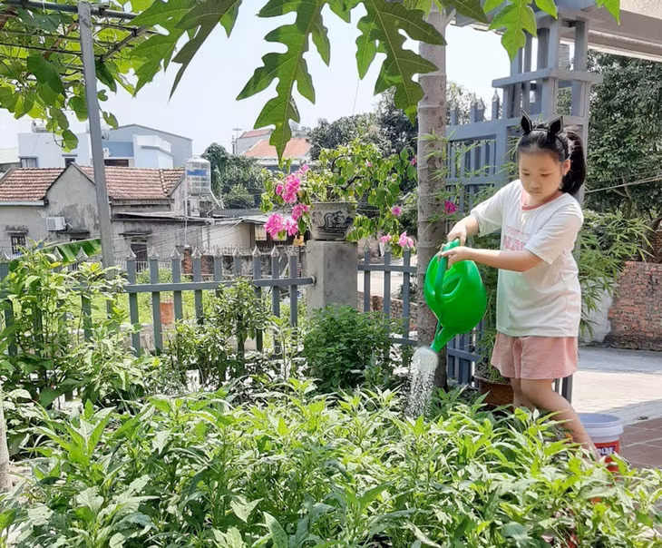 Em Nguyễn Phương Vy, năm nay lên lớp 2, Trường TH-THCS-THPT Nguyễn Bỉnh Khiêm, TP Hạ Long giúp bố mẹ tưới cây trong thời gian nghỉ hè.