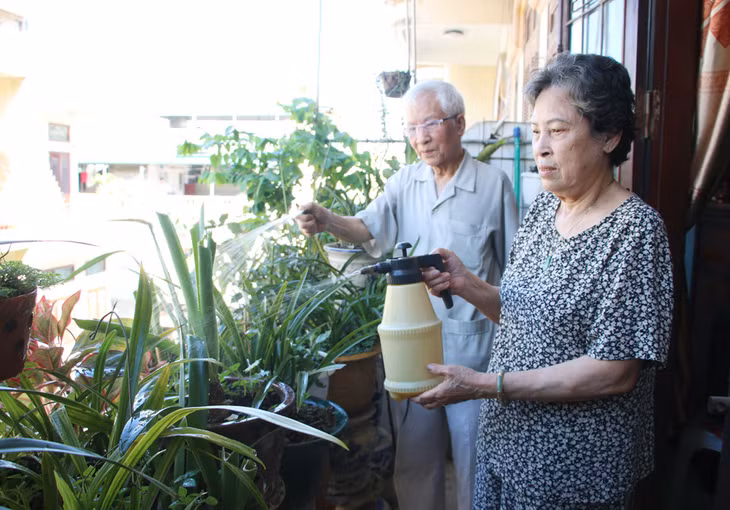 Hai vợ chồng bà Nguyệt ngày ngày cùng nhau chăm sóc cây cối, chia sẻ mọi việc trong gia đình.