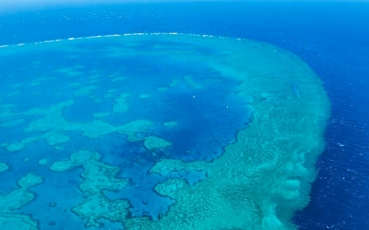 Australia phản đối khuyến nghị của UNESCO về Rạn san hô Great Barrier (Ảnh: BBC)