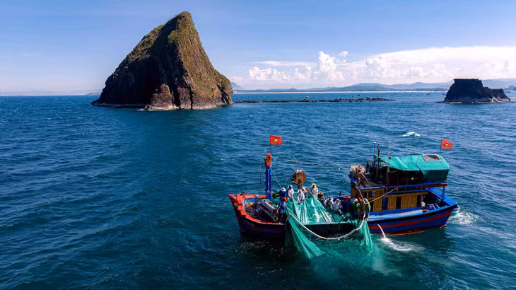 Vùng biển Nhơn Hội, gần khu vực Hòn Yến được nhiều ngư dân chọn để buông lưới vây cá cơm. Ảnh: Hoàng Lê