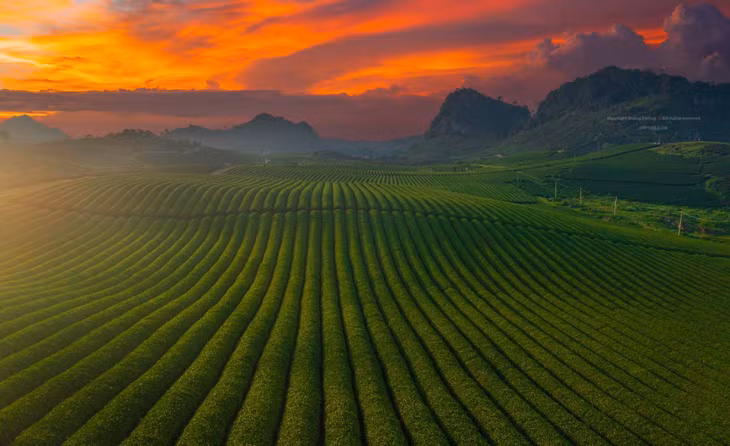 Ảnh: Hoàng Dưỡng