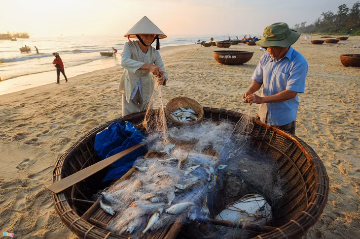 Chợ cá bán vào mỗi sáng sớm hàng ngày. Để có những mẻ cá tươi ngon nhất, nhiều người cũng chạy xuống biển đón thúng cá và cả việc tham gia phụ giúp ngư dân gỡ lưới.