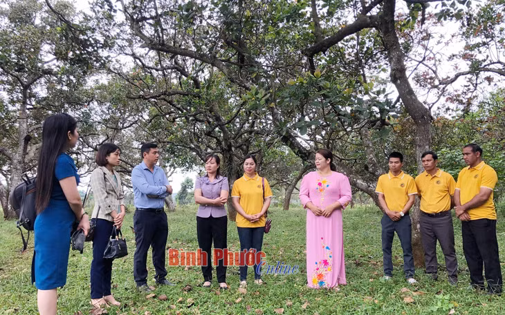 Bà Nguyễn Thanh Phương, Chủ tịch Liên minh Hợp tác xã tỉnh (thứ 4 từ trái sang) động viên, chia sẻ và hứa đồng hành, hỗ trợ Hợp tác xã nông nghiệp hữu cơ Trảng cỏ Bù Lạch, xã Đồng Nai, huyện Bù Đăng