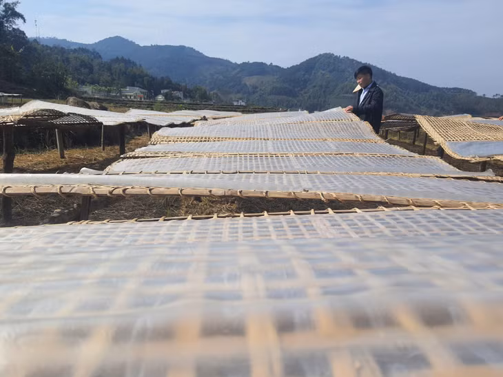 Công đoạn phơi bánh tráng trong sản xuất miến dong Bình Liêu.